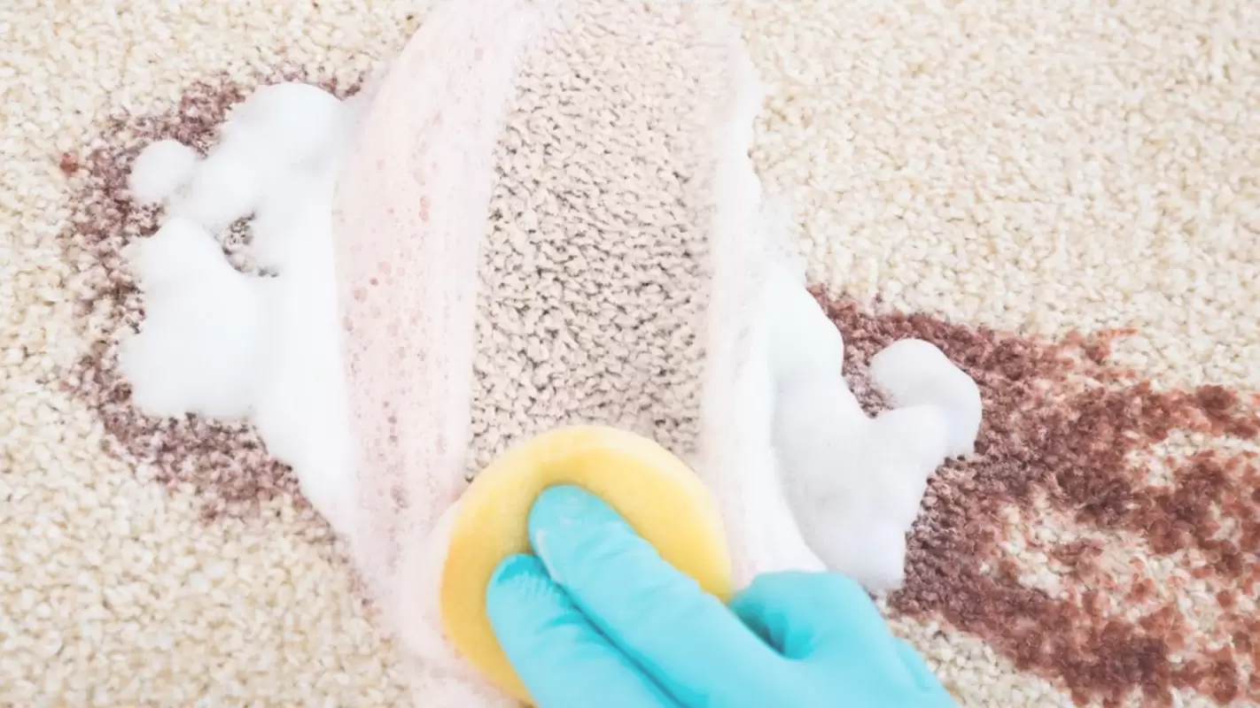 Get new-looking carpets with our carpet stain removal services.