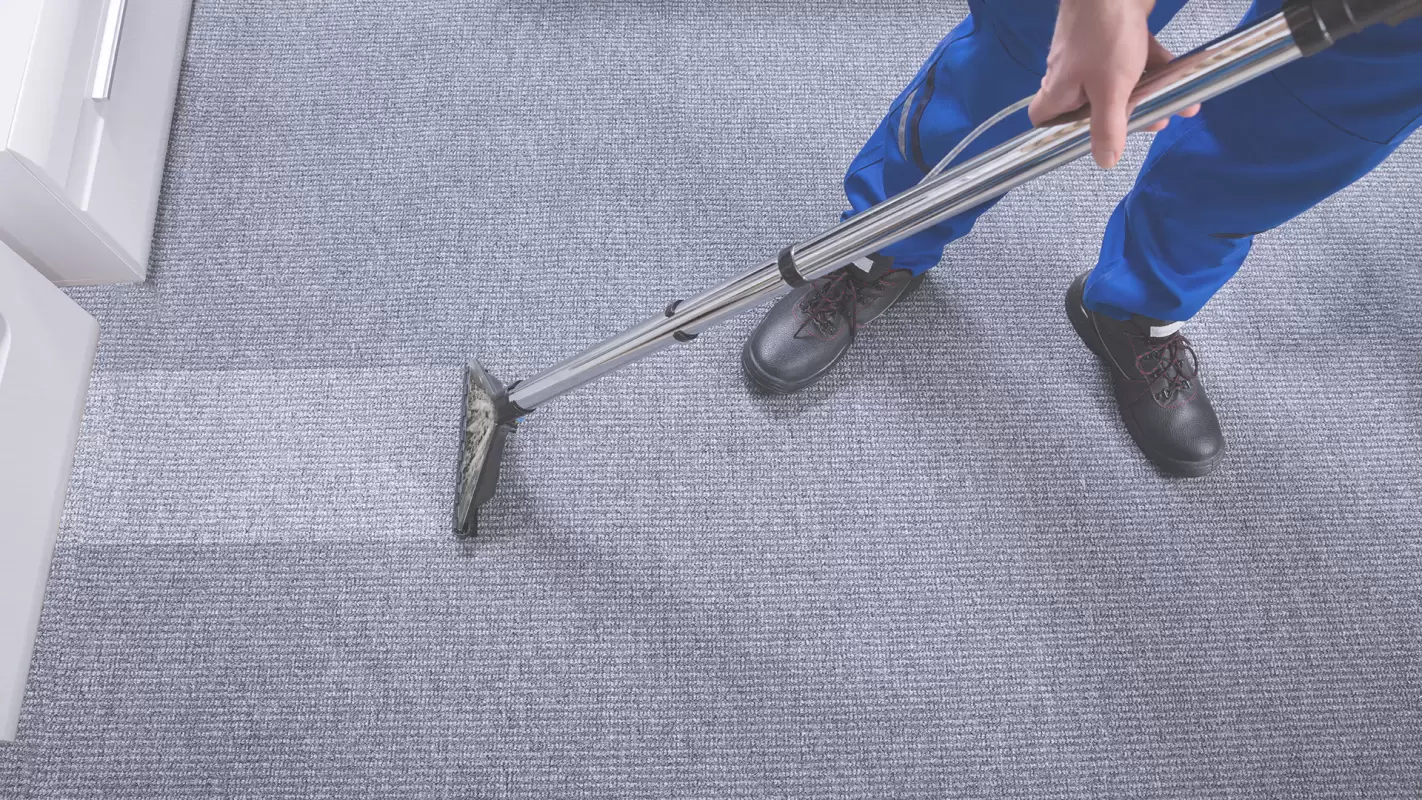 Take advantage of the best Carpet Cleaning Services