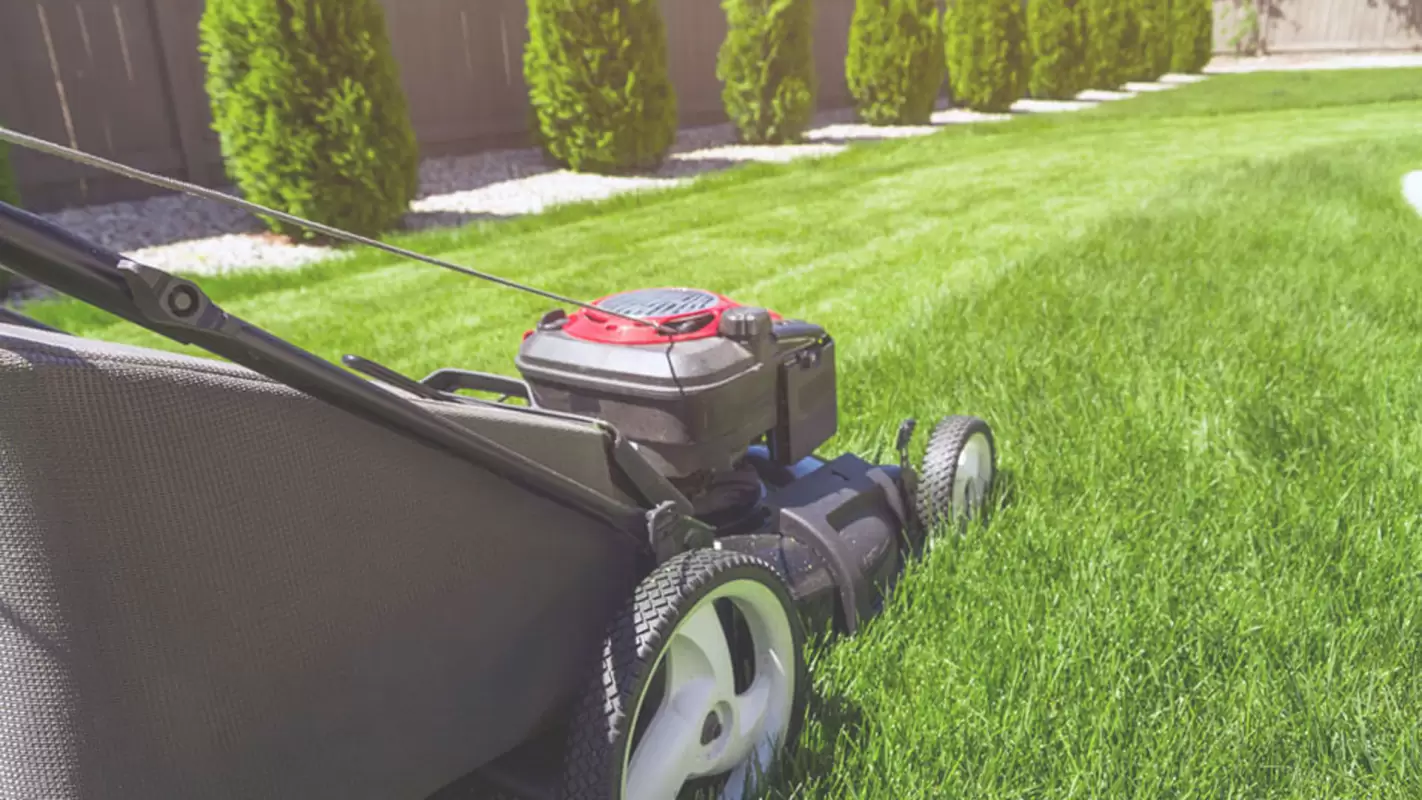 Get Picture-Perfect Lawns with Our Lawn Care Services