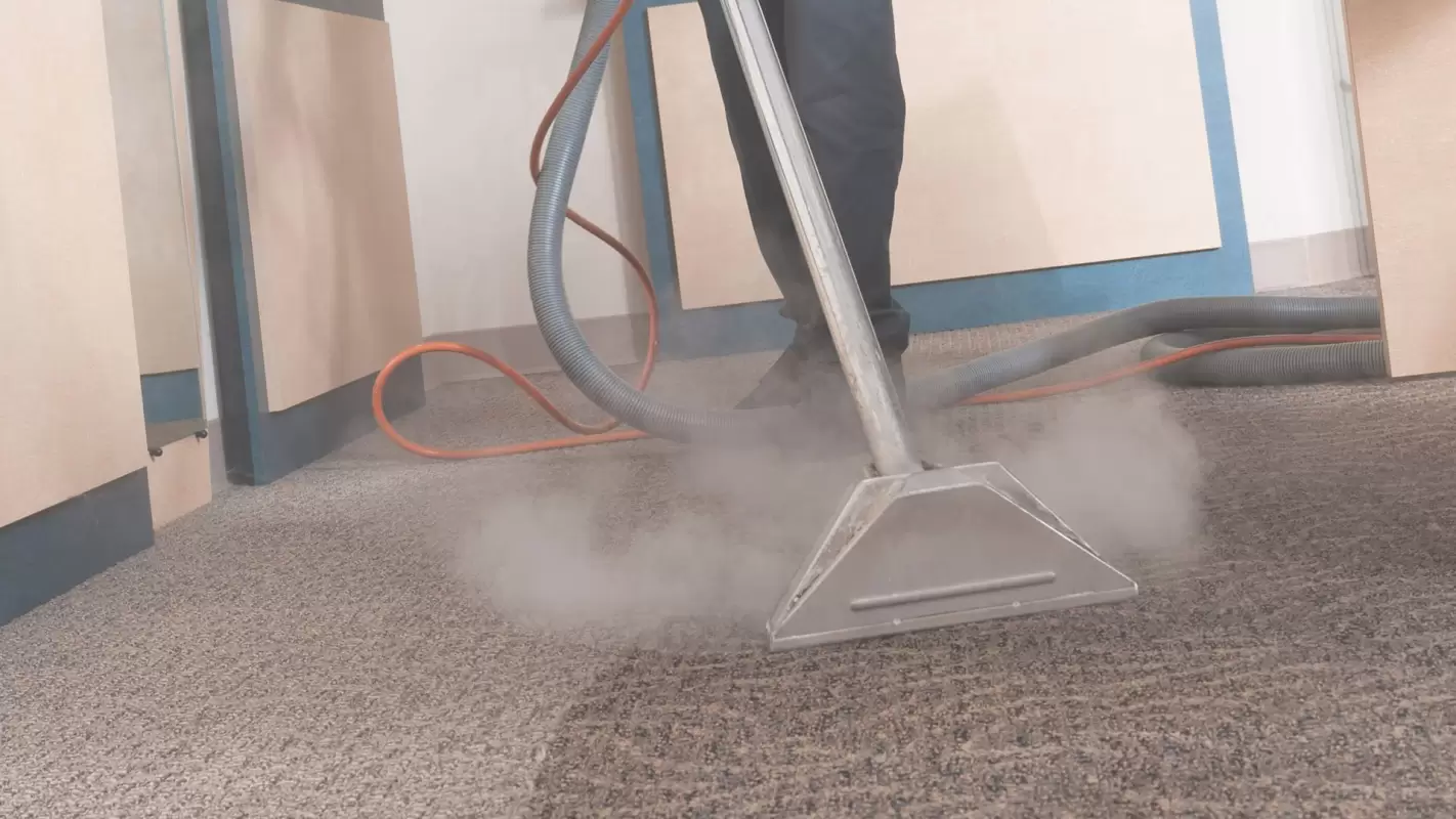 Searching For Carpet Steaming Companies Near Me? We Can Help