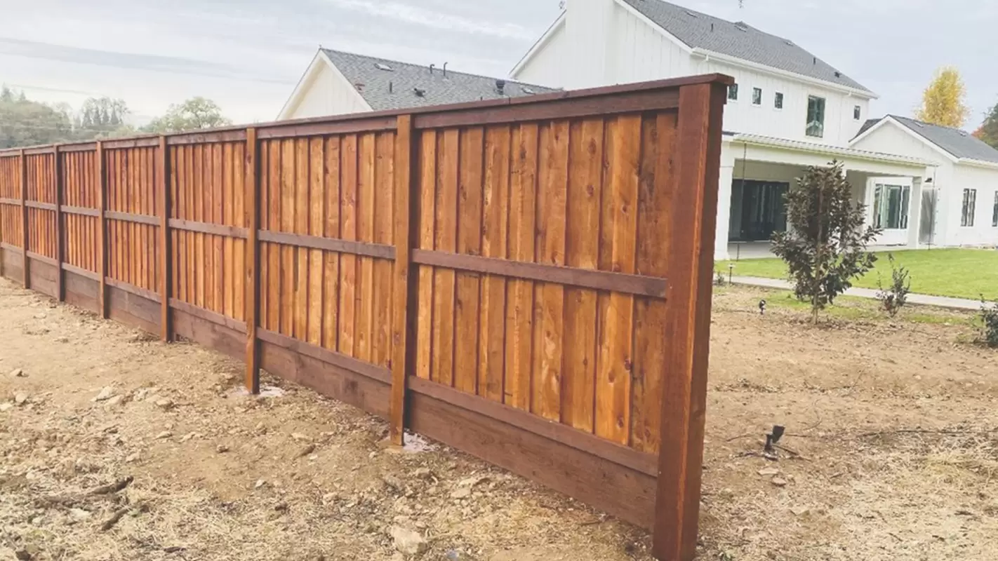 Searching for fence painting services near me? We are your best choice