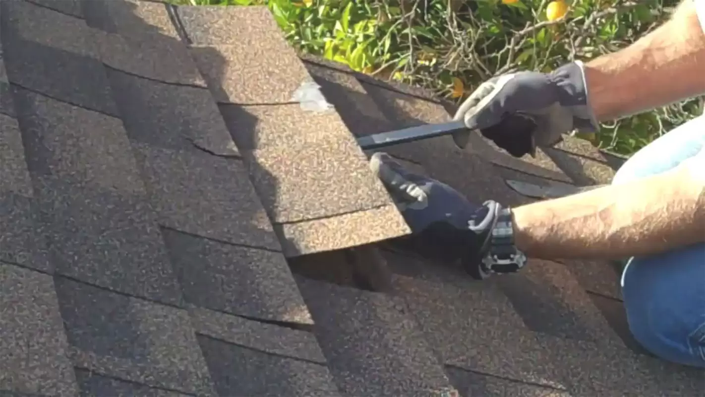 Roof Repair Service- We Restore Your Roofs Glory