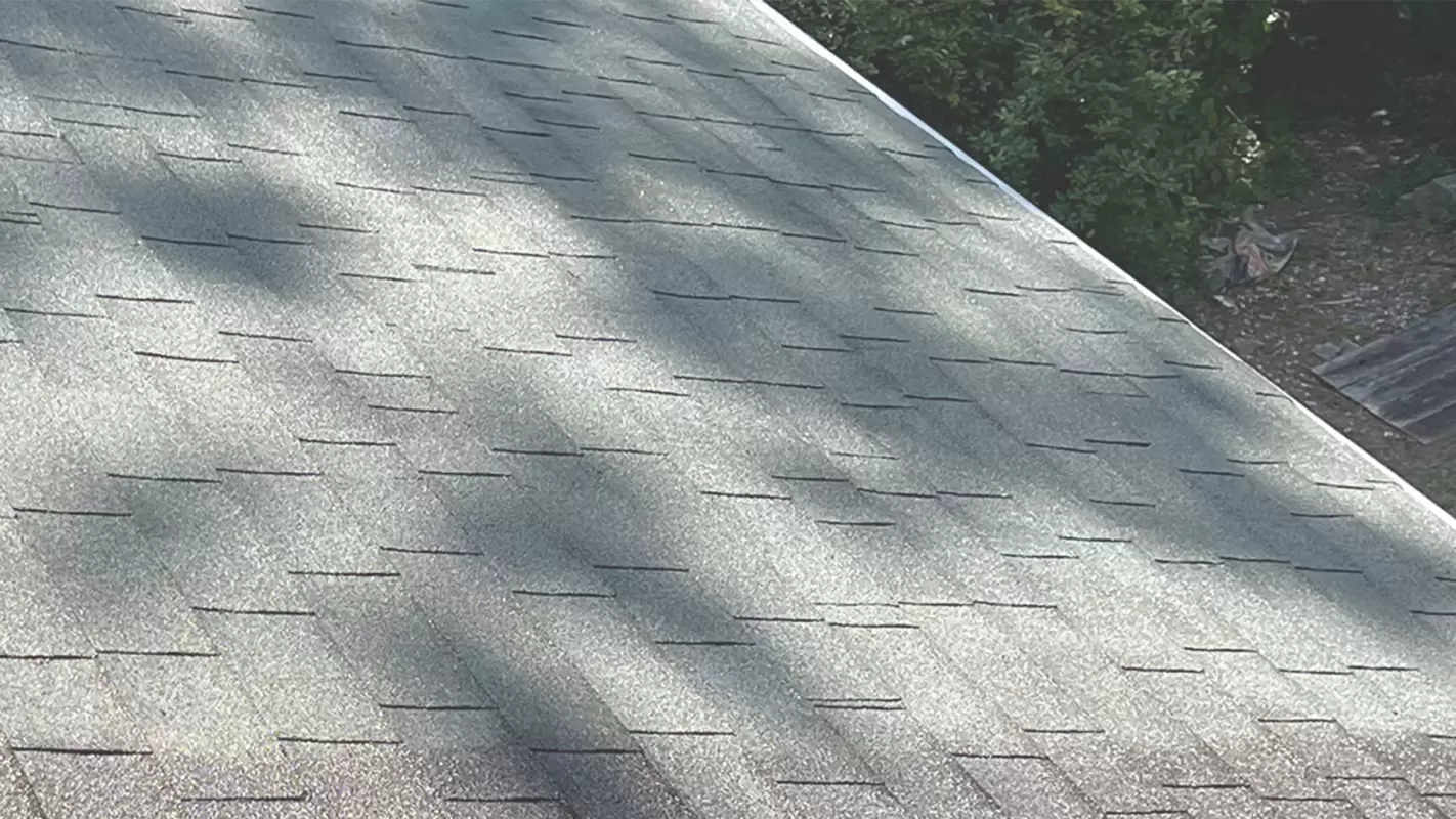 Experience The Unbeatable Roof Installation Today