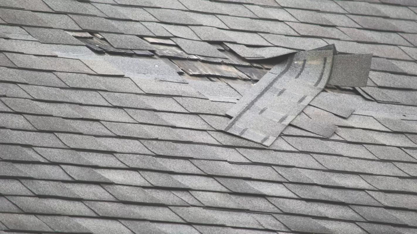 Roof Repair Services So Your Roof Don’t Charge High Cost Replacement Bills!