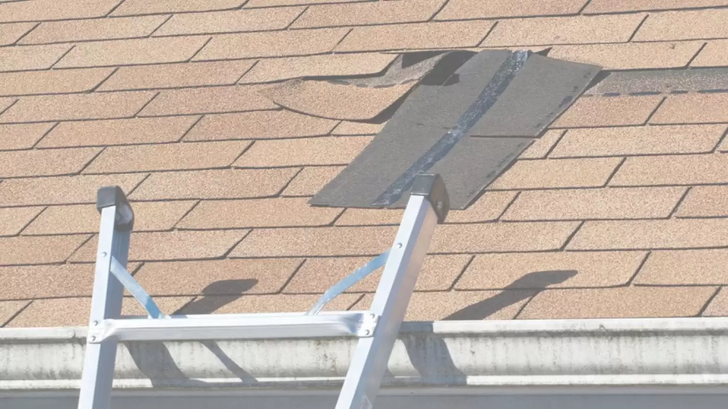 Leave your Roof Repair services to the experts