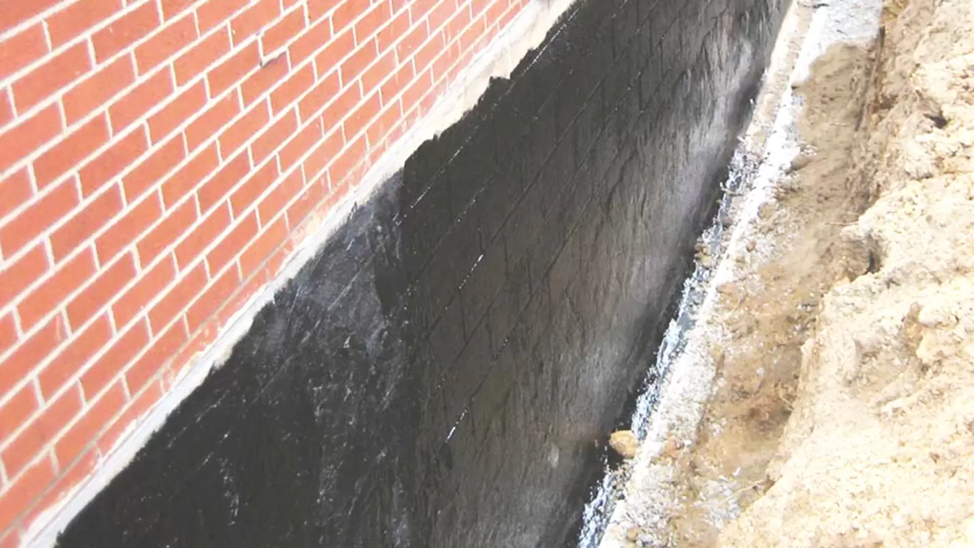 Seal, Shield And Succeed With Our Waterproofing Techniques