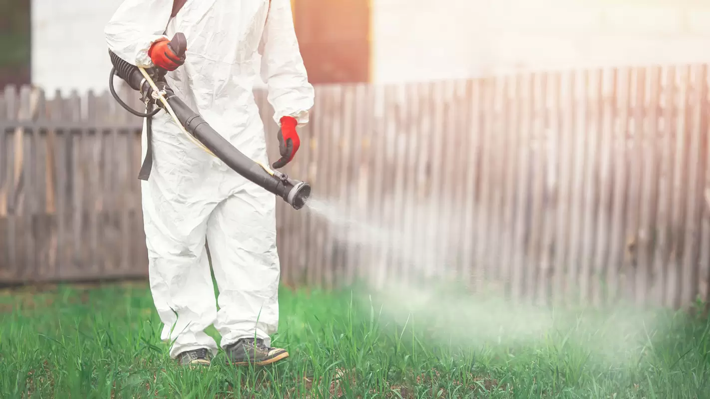Mosquito Spray to Keep Your Yard Comfortable & Safe for Events!