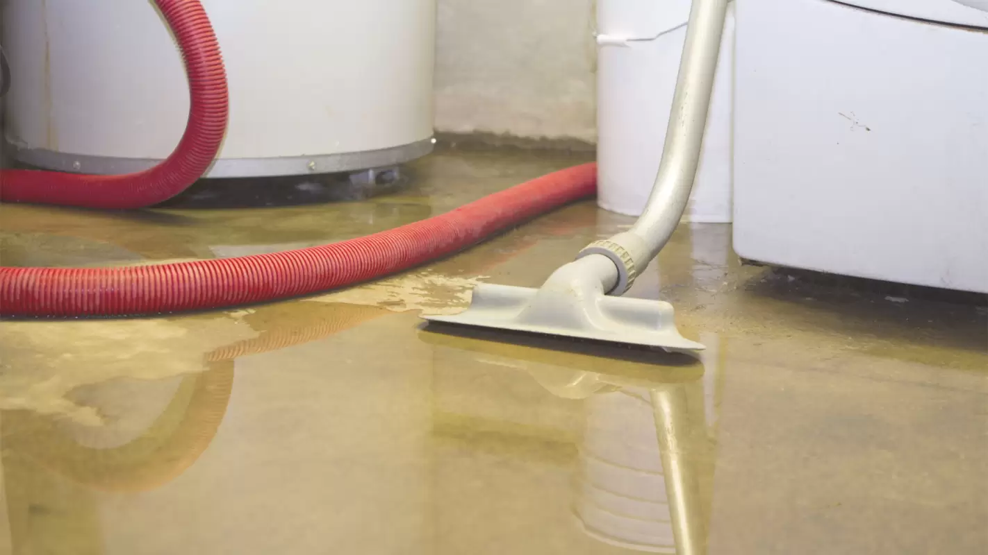 Quality Water Damage Cleanup That Exceeds Expectations