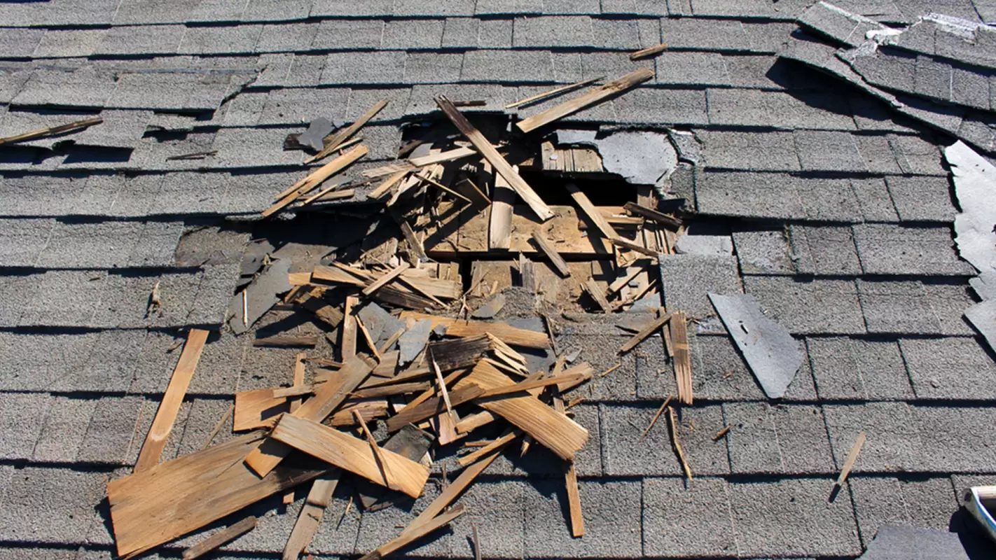 Trusted Roof Repair Professionals Will Do the Roofing Right the First Time