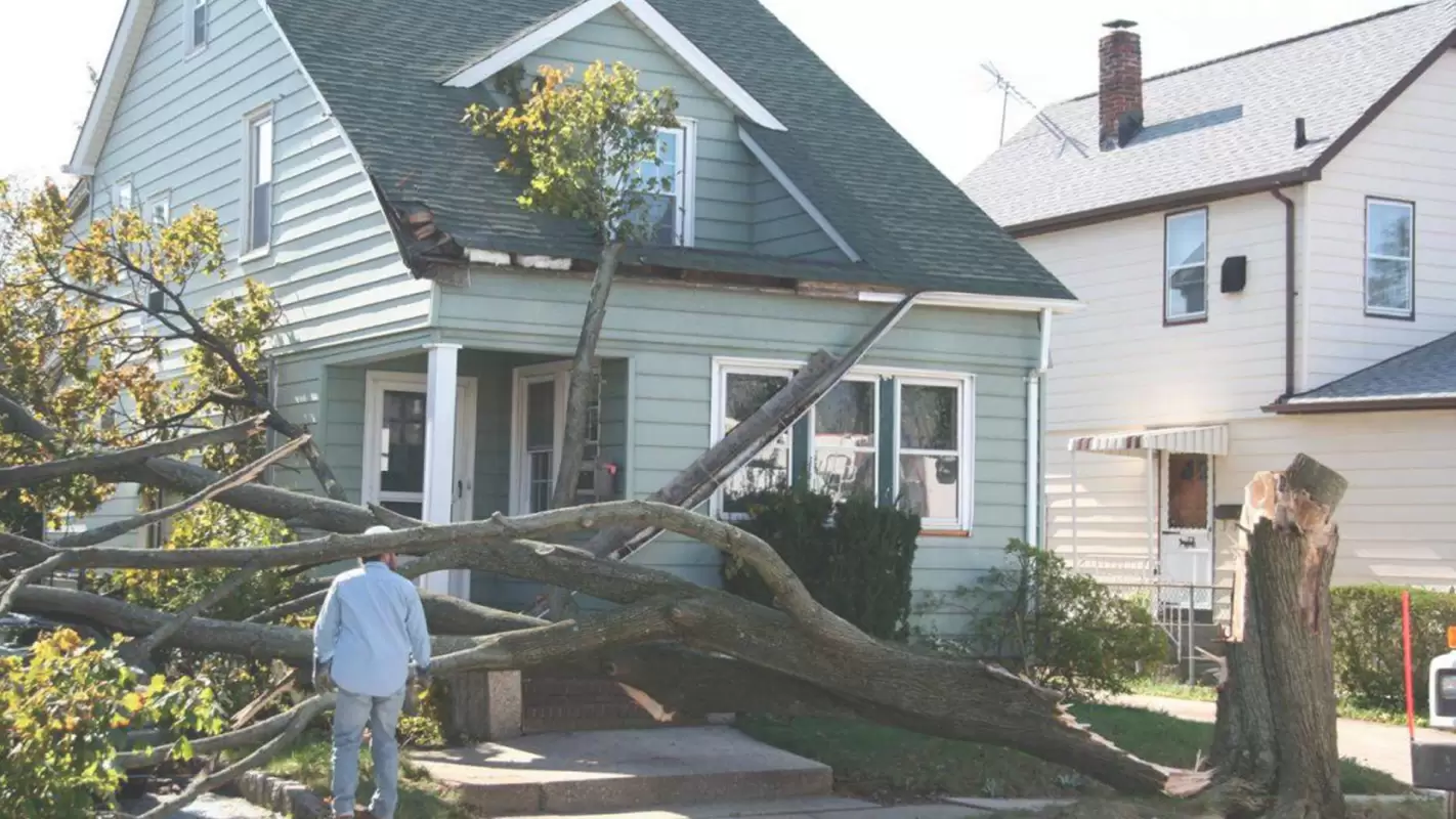 Roof Repair Services with proof of quality