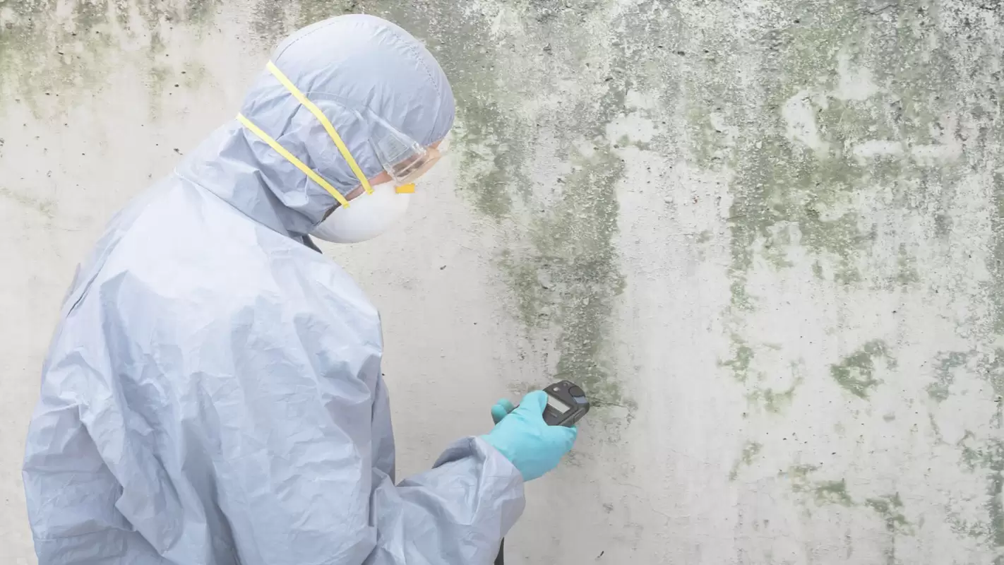 Hire Our Mold Remediation Specialists to Secure Your Home