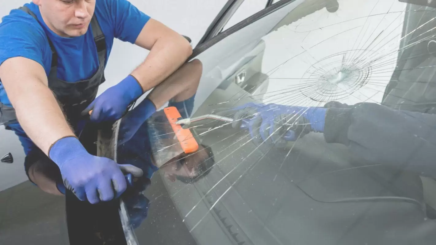 We are professionals in windshield repair services