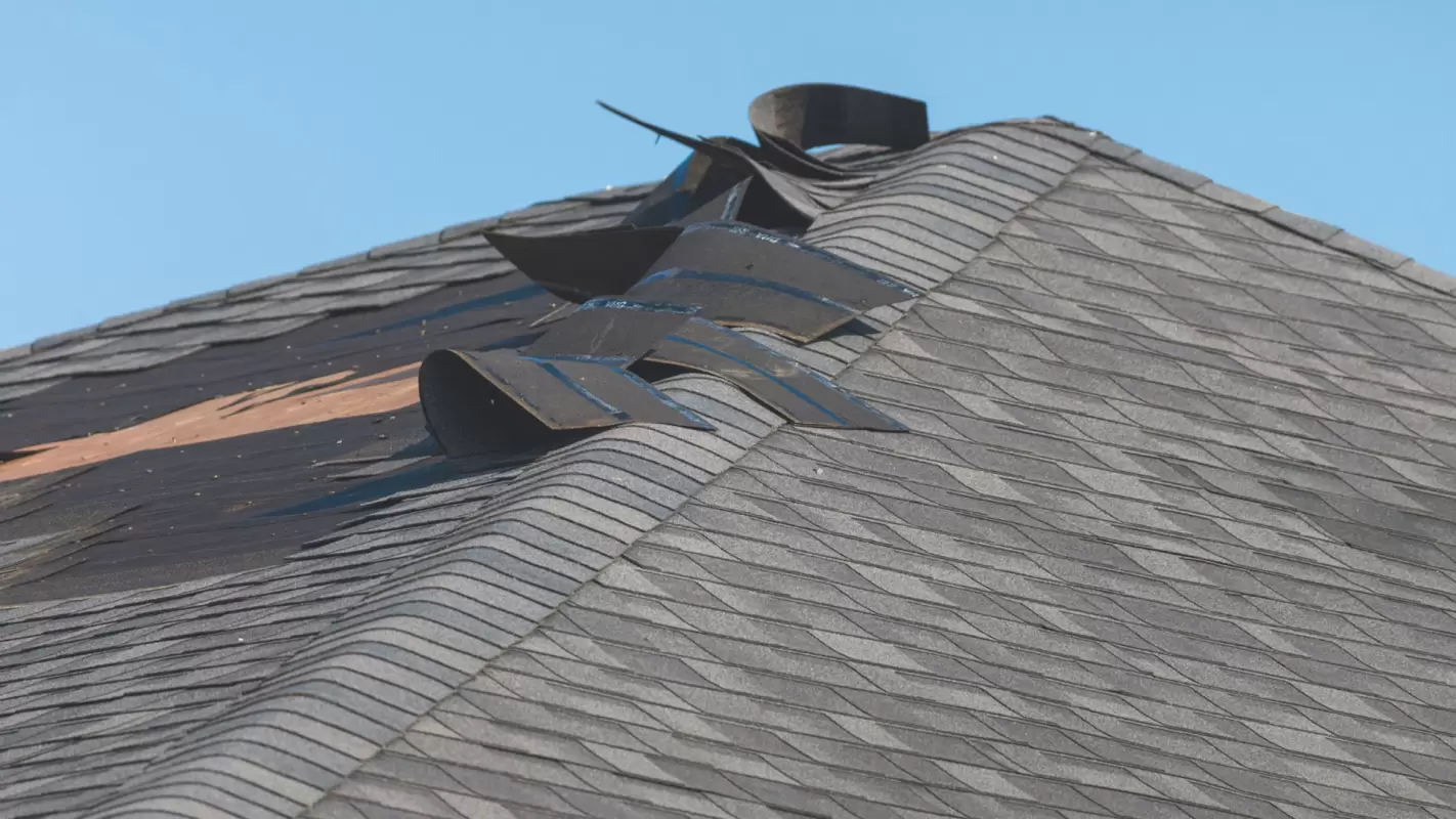 Looking for Roof Damage Repair Near Me? You are at the Right Place!