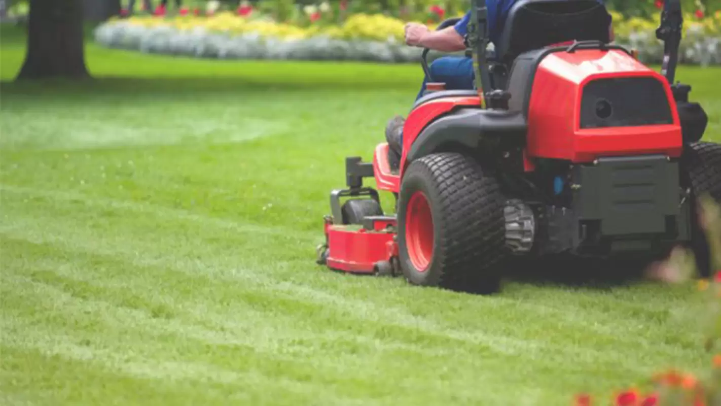 Transform Your Oasis with Our Lawn Maintenance Services