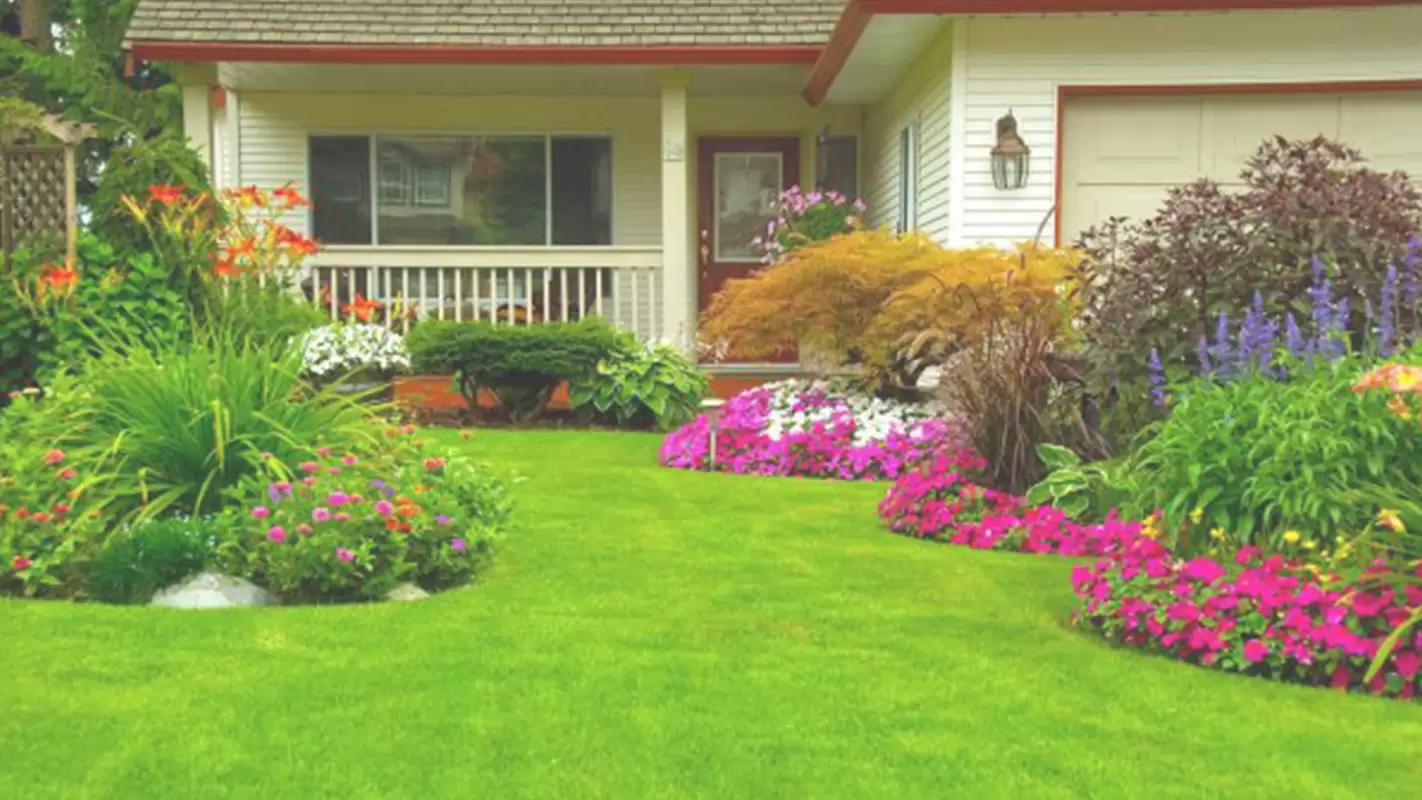 Residential Landscaping Services to Experience the Artistry