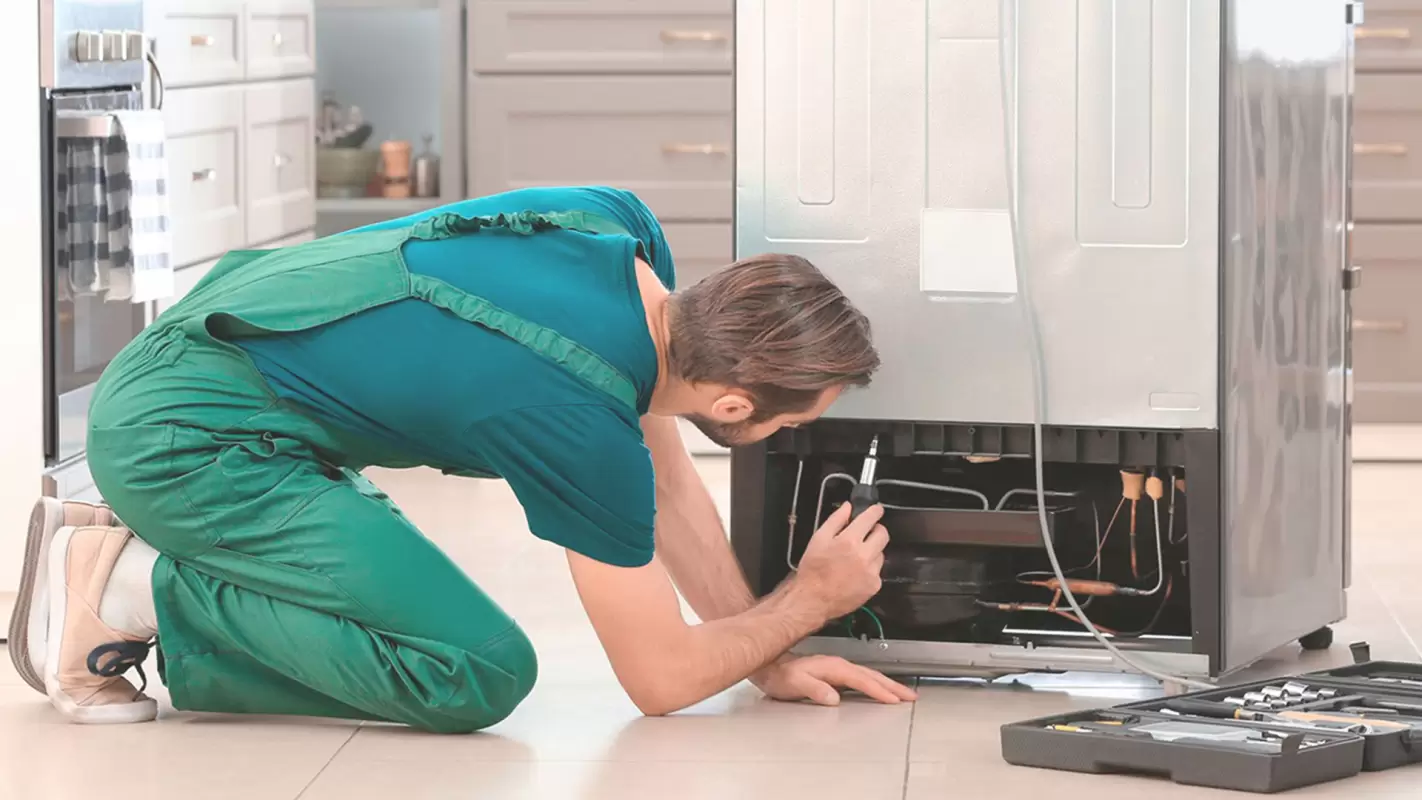Professional Refrigerator Repair at Your Disposal