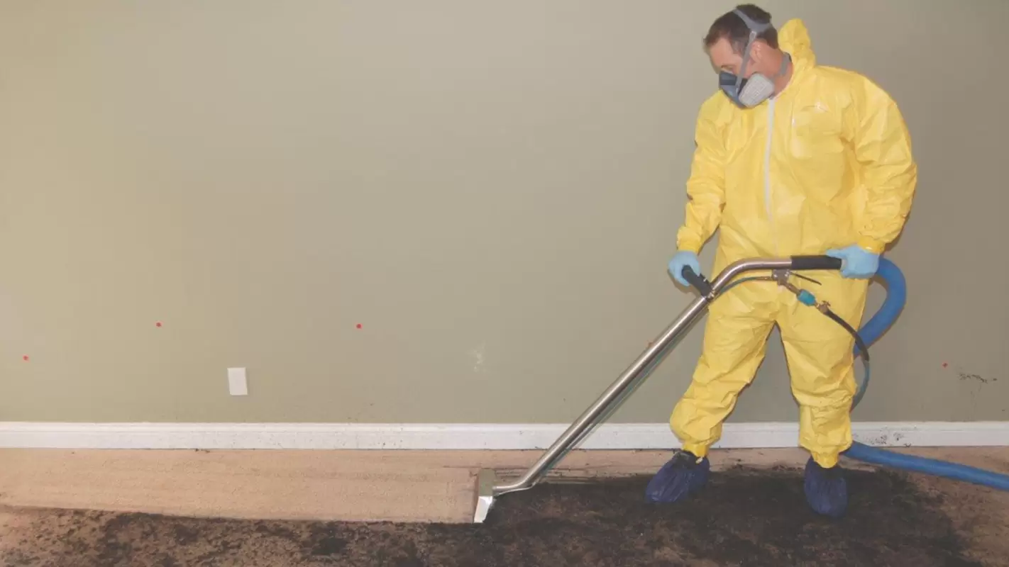 Meticulous Water Damage Cleanup Done Right, First Time