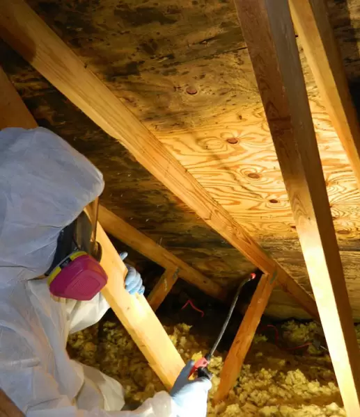 Crete Restoration Licensed Mold Removal Contractors Fairfield, CT