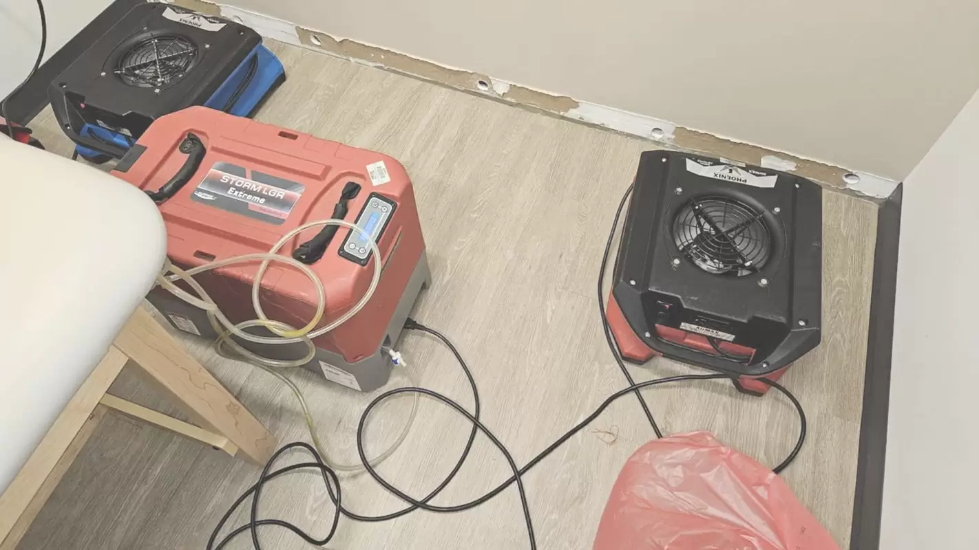Looking for Water Damage Restoration Consultation? Look no Further!