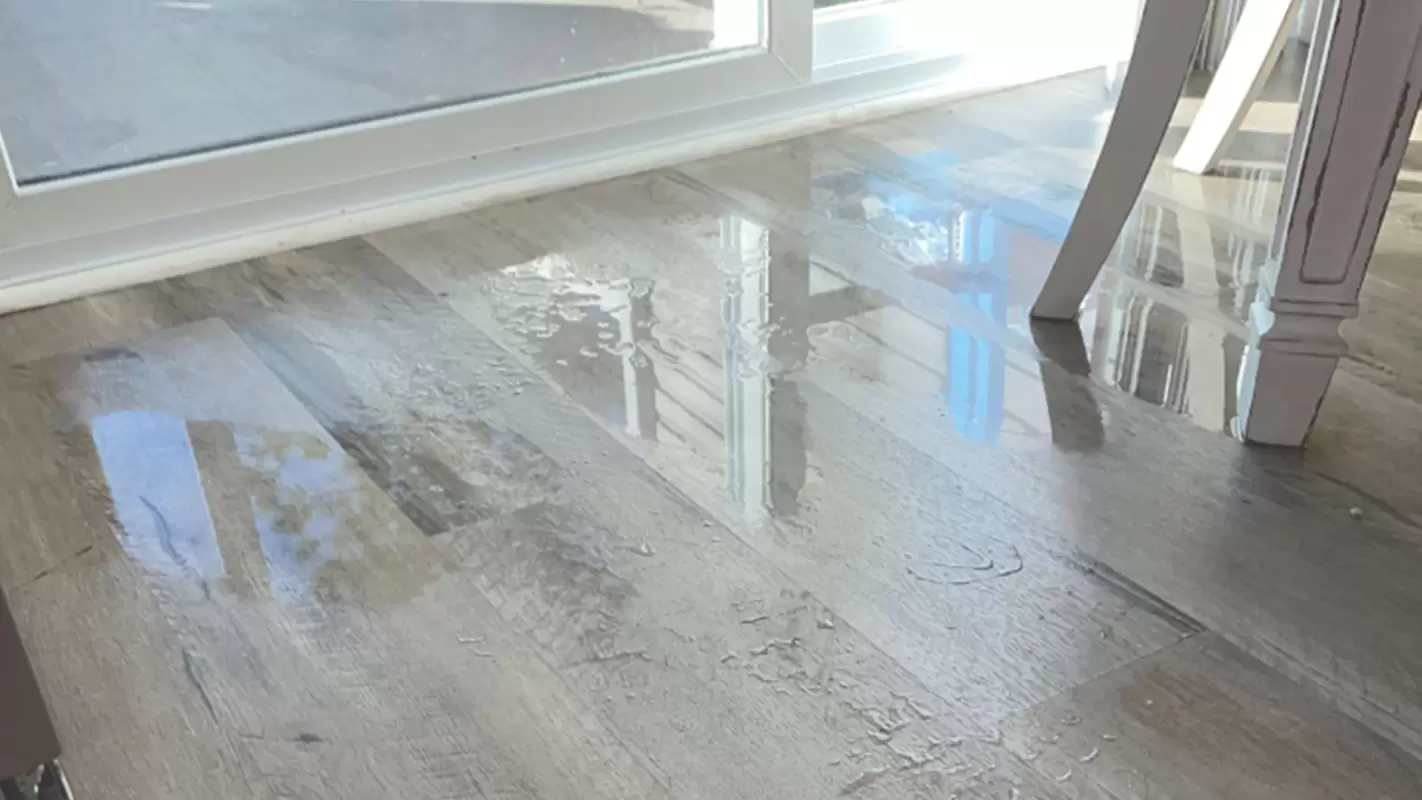 Your top choice for Water Damage Restoration
