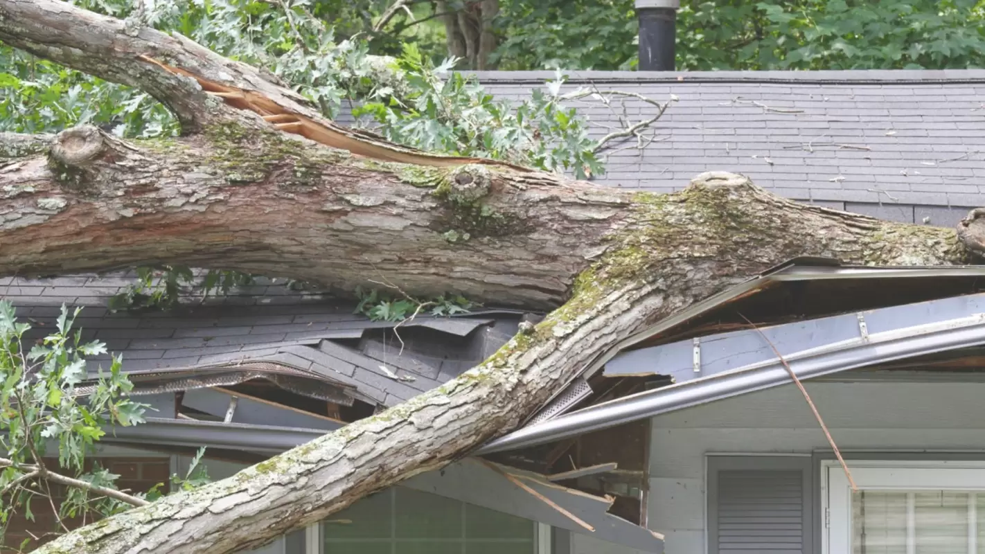 Restore your property with our storm damage restoration