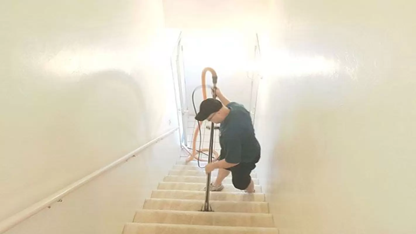 Carpet Cleaning Cost Mequon WI