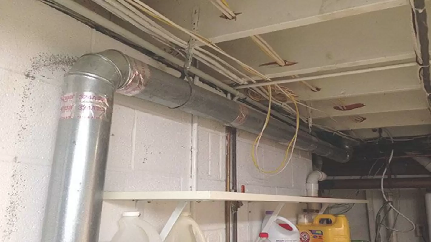 Residential And Commercial Vent Cleaning Wauwatosa WI