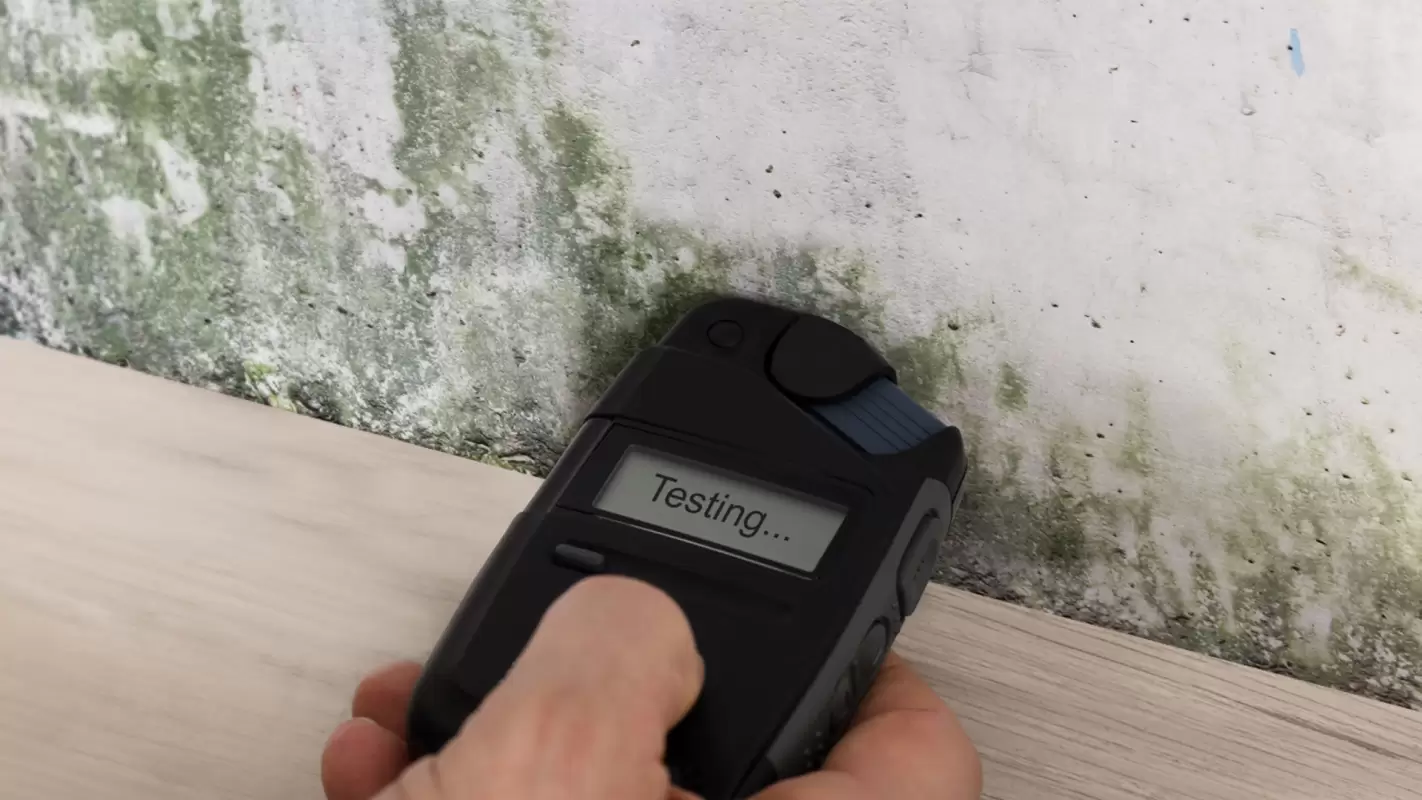 We’re the Best Experts for Mold Testing and Inspection