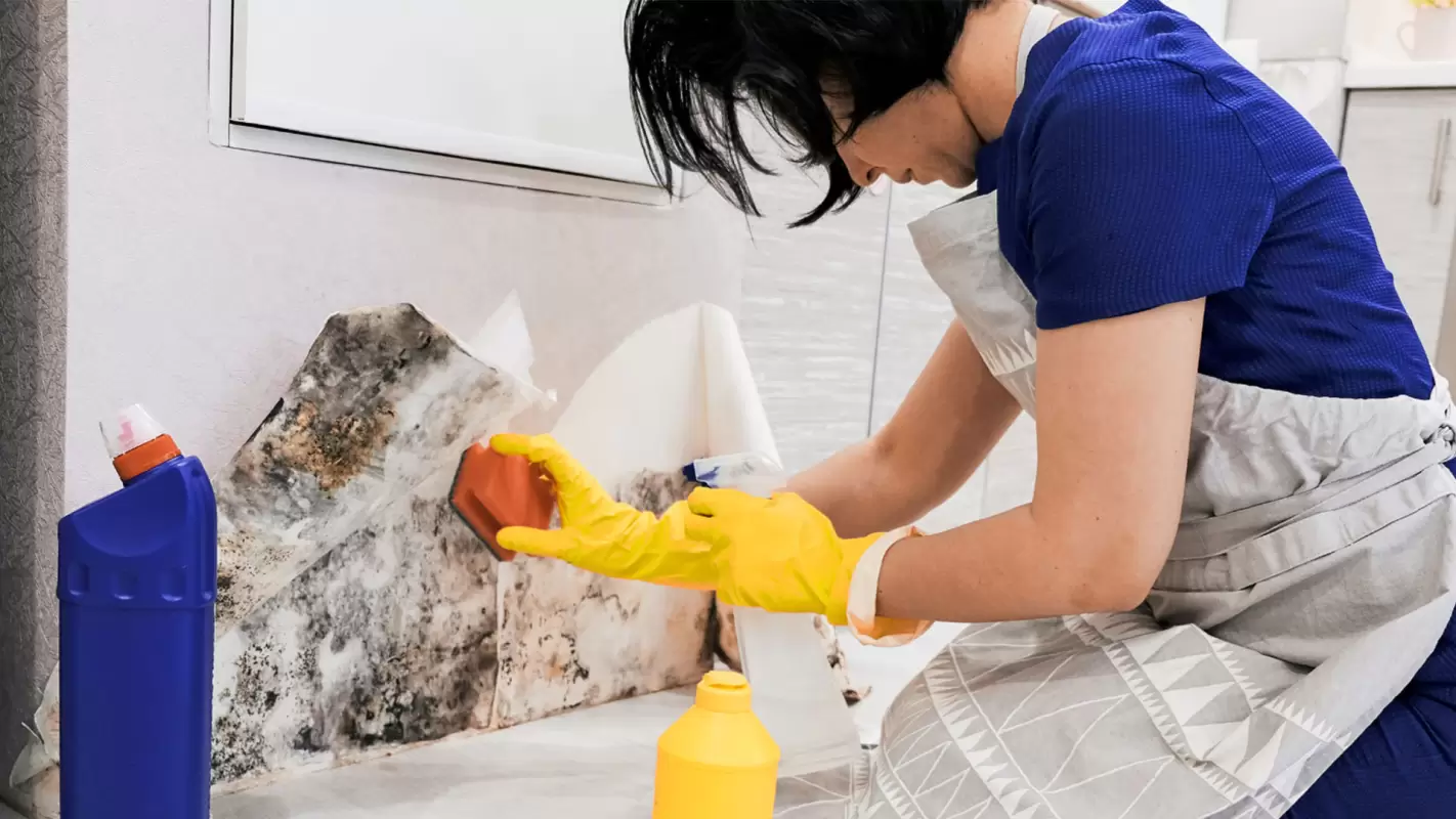 Residential Mold Removal and Remediation at Your Disposal