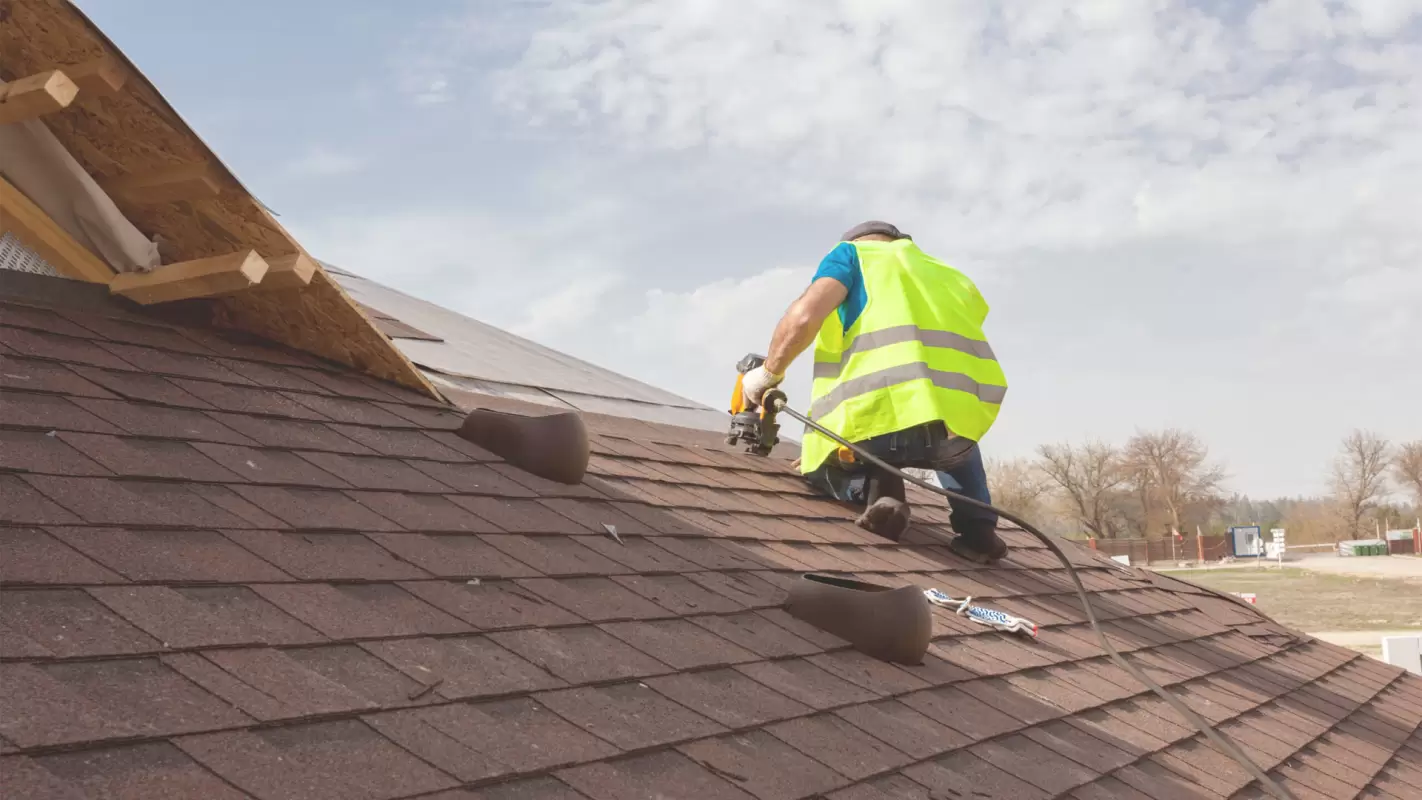 Siding Repair to Avoid Pest Infestation!
