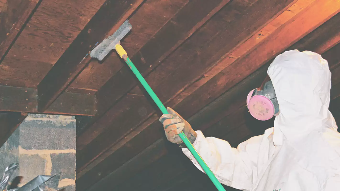 Mold Restoration Specialists: Your Restoration Experts in Mold Recovery