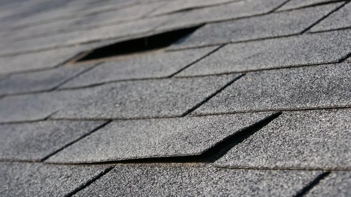 Roof Repair Contractors Near Me For Ensuring Top-Notch Service