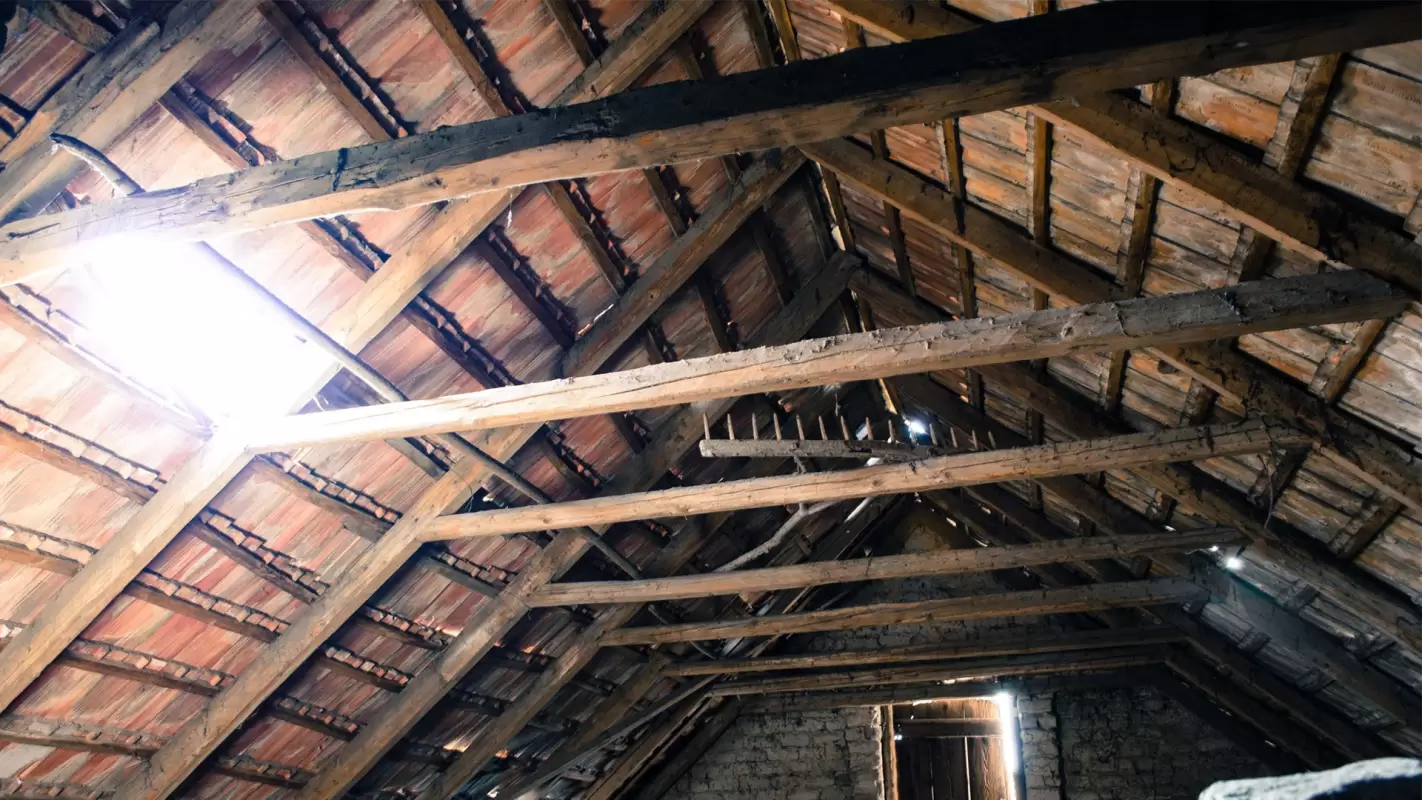 Comprehensive Attic Inspection For A Better Home Environment