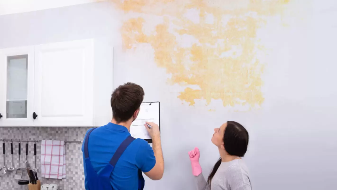 Uncover Hidden Threats With Our Comprehensive Mold Inspection