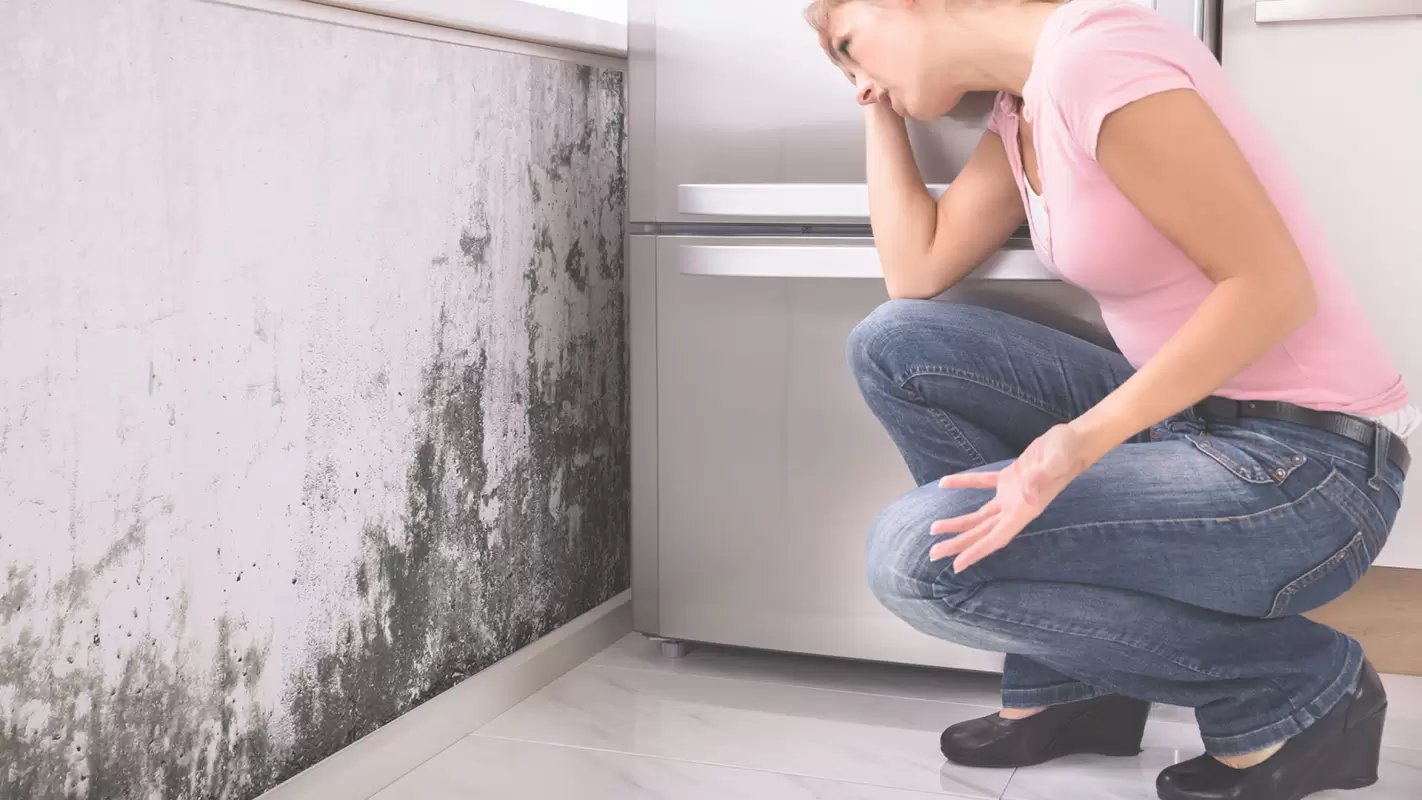 Mold Removal Specialist to avoid allergic reactions