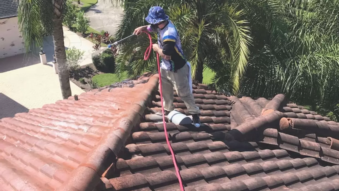 Enhance Your Property’s Curb Appeal with Roof Soft Washing Services