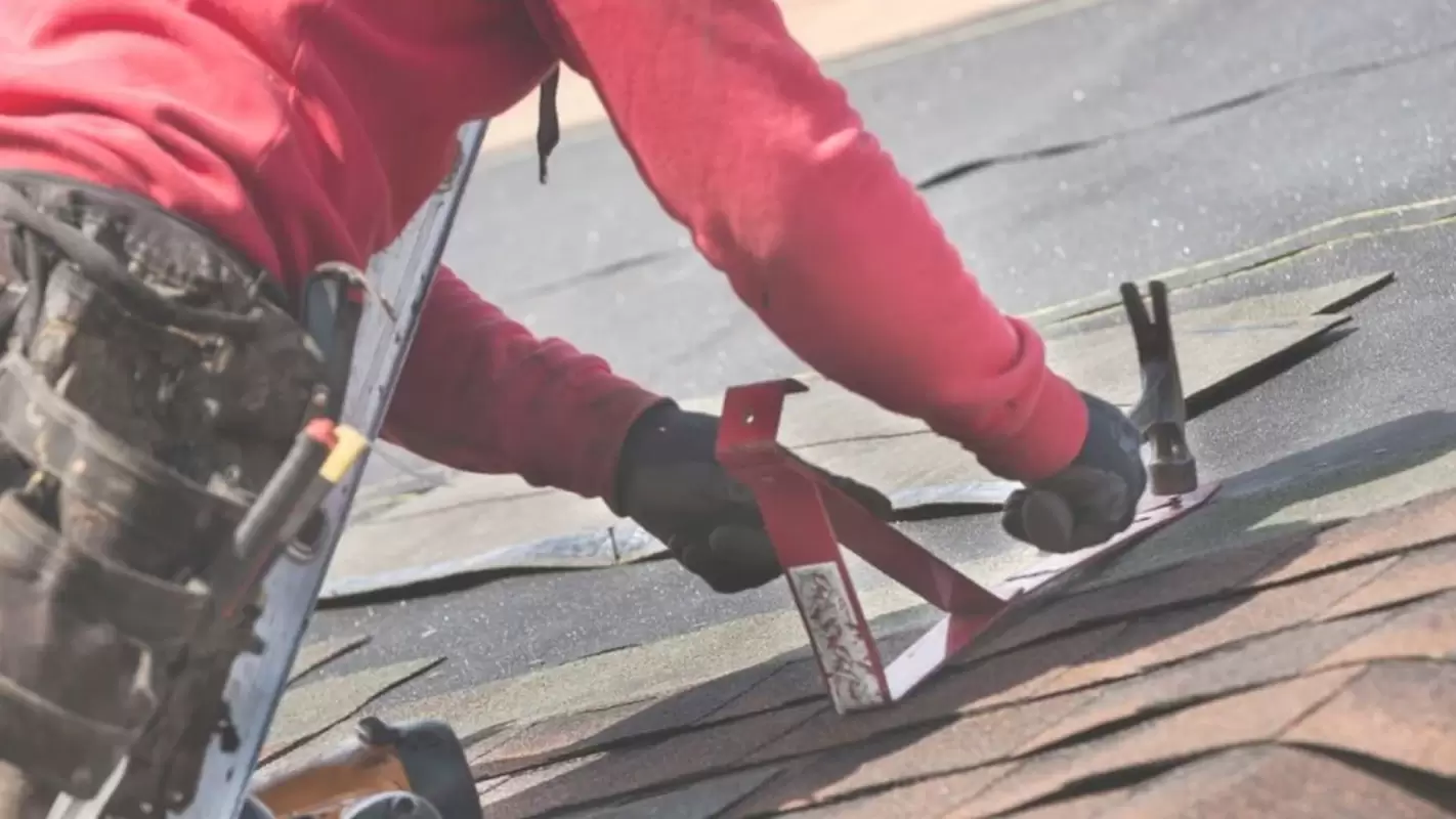 Ease your way with Our Expert Roof Maintenance Services