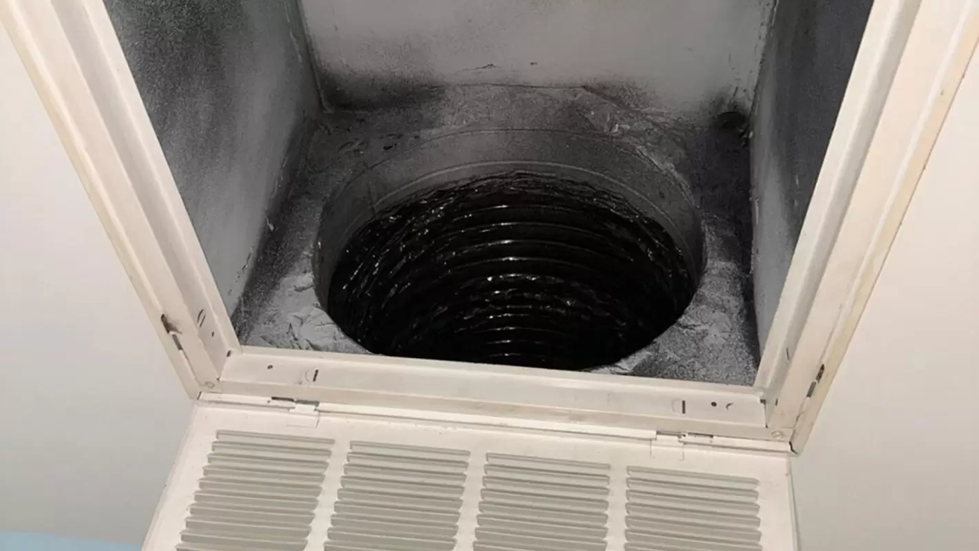 Hire Us for Professional Air Duct Cleaning That Exceeds Expectations