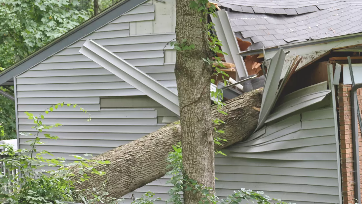 Choose Us For Rapid Response And Reliable Recovery In Storm Damage Restoration