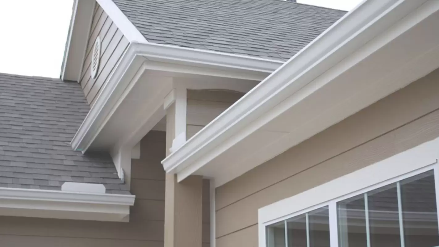 Searching For “Gutter Cleaning Services Near Me?” Hire Us