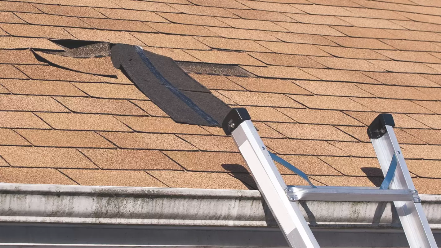 Roof Repair Company- We’re Always Ready to Repair Your Roof