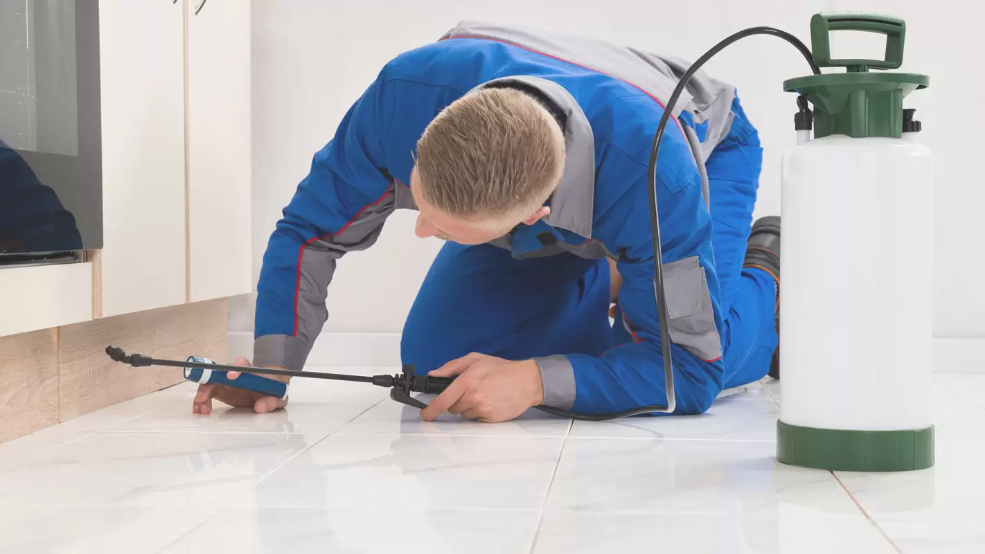 Get Our Pest Control Services to Live Worry-Free