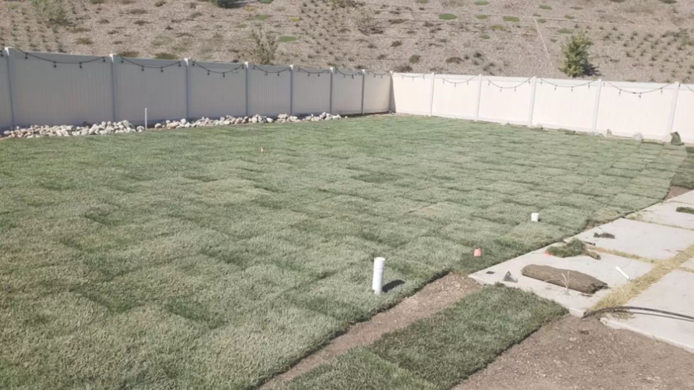 Commercial Turfing Services to Get Your Lawn and Oasis!