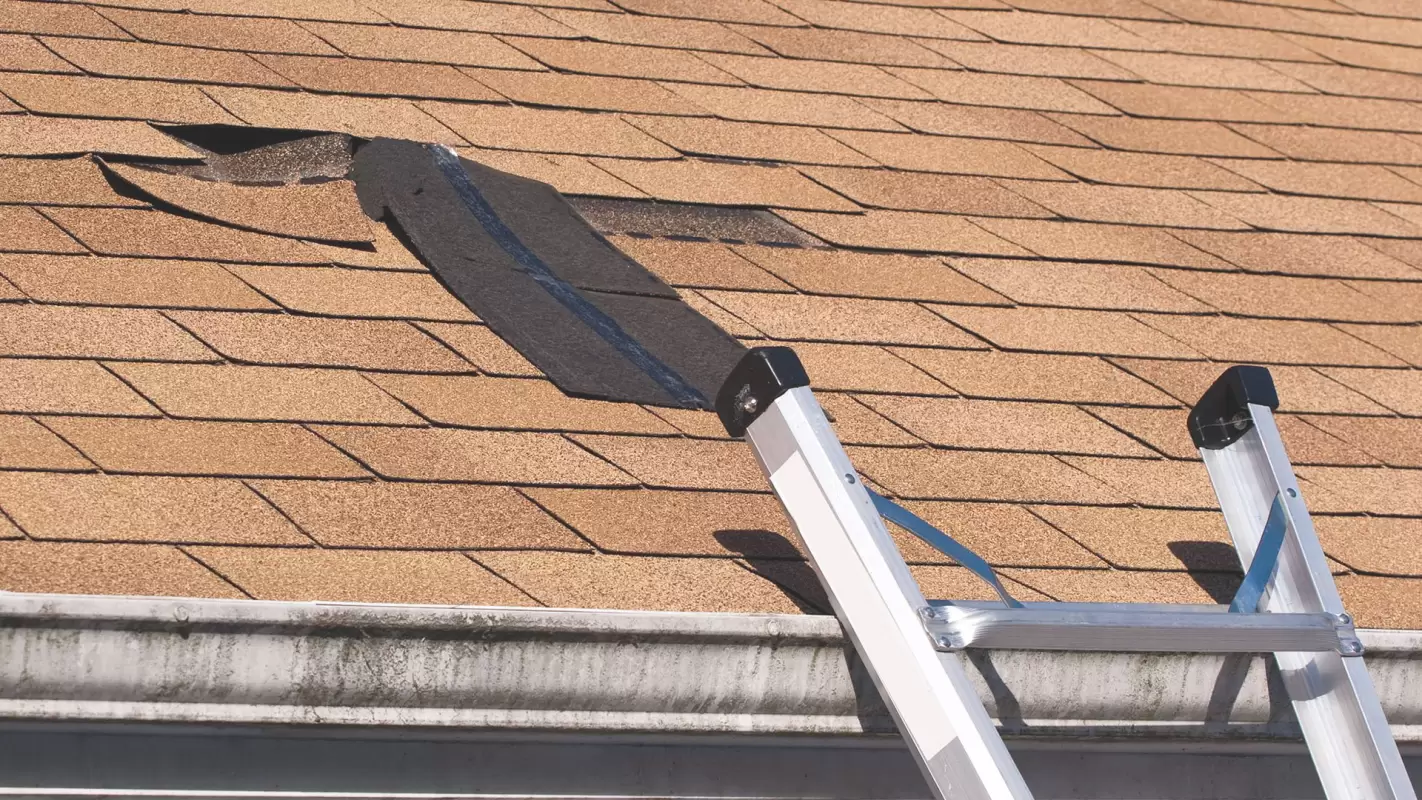 Roof repair services that stand tall, no matter what