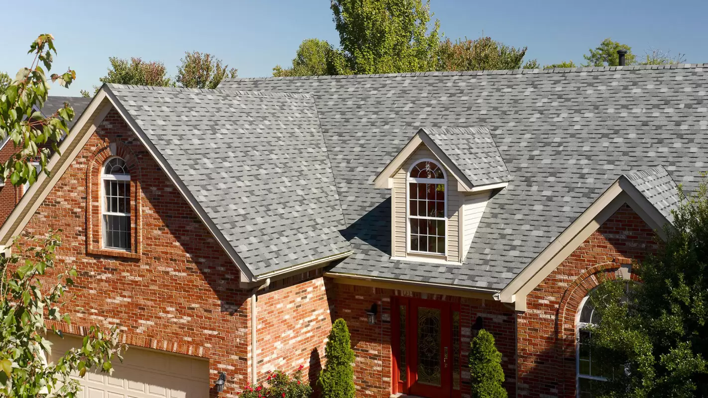 Professional Roof Services: Secure Your Roof With Our Expertise