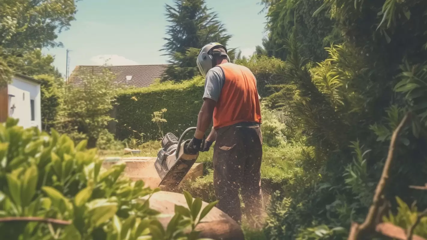 Our Team is Excel in Delivering Tree Removal Services