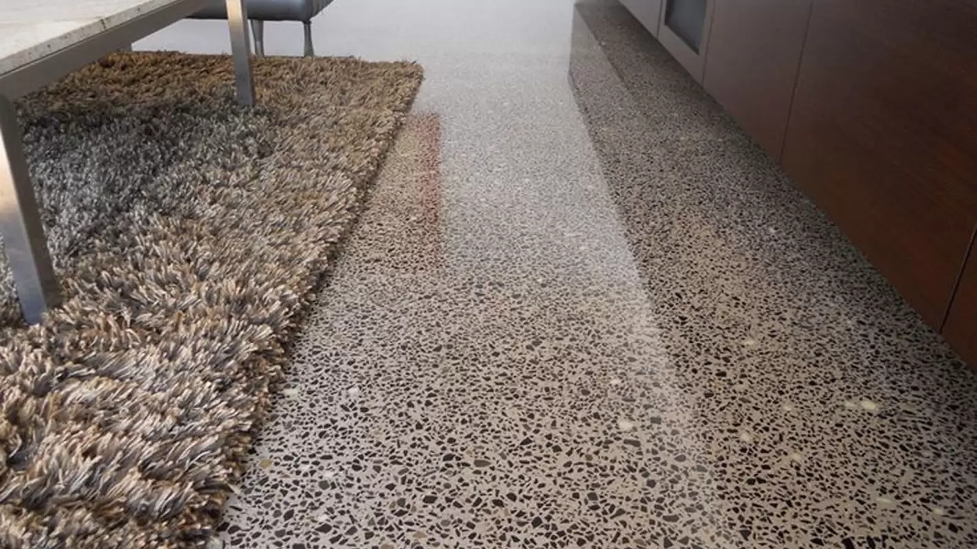 Terrazzo Floor Polishing: Get a Mirror-Like Finish For Your Floors