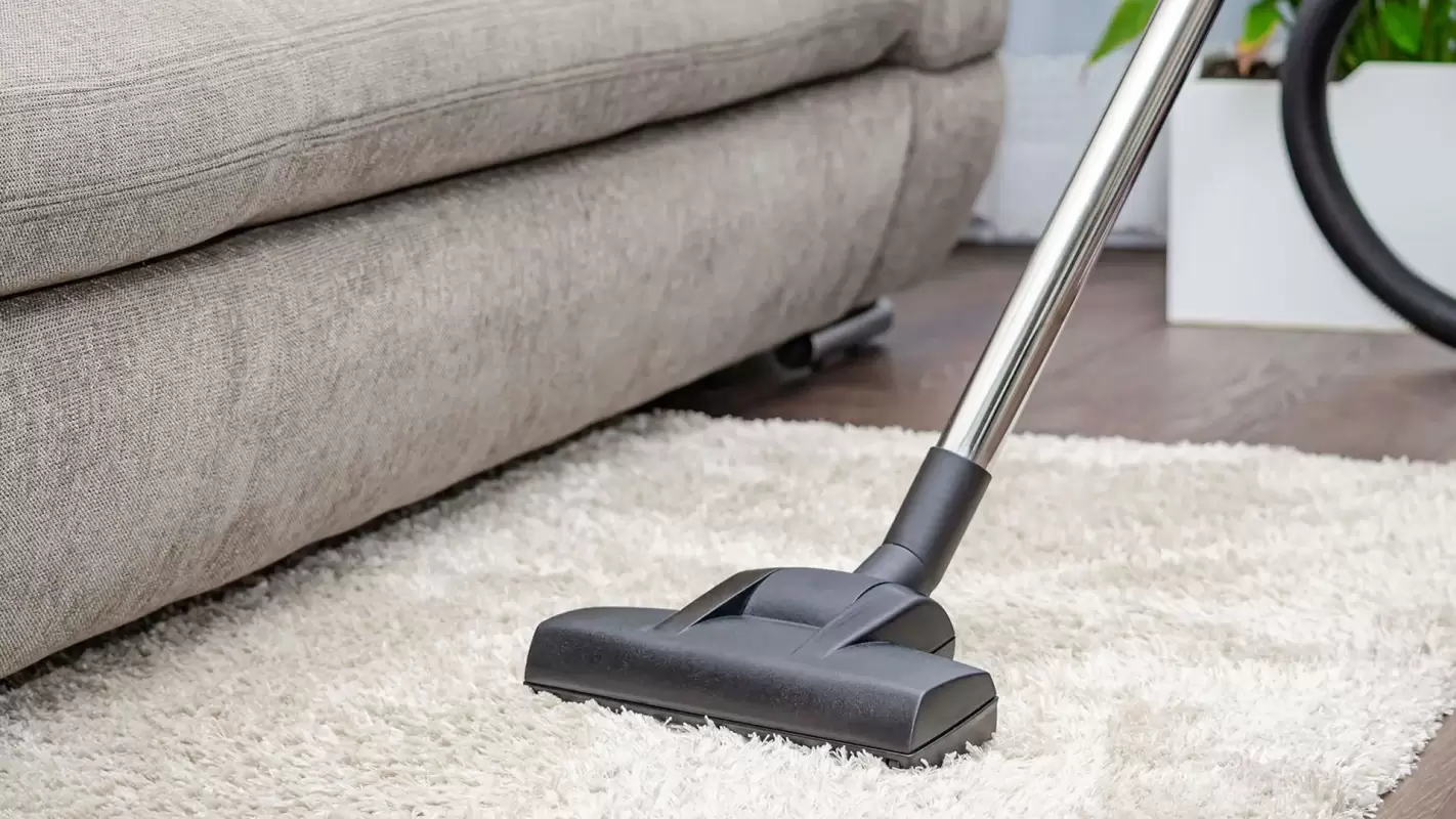 Refresh Your Space With Our Carpet Cleaning Company