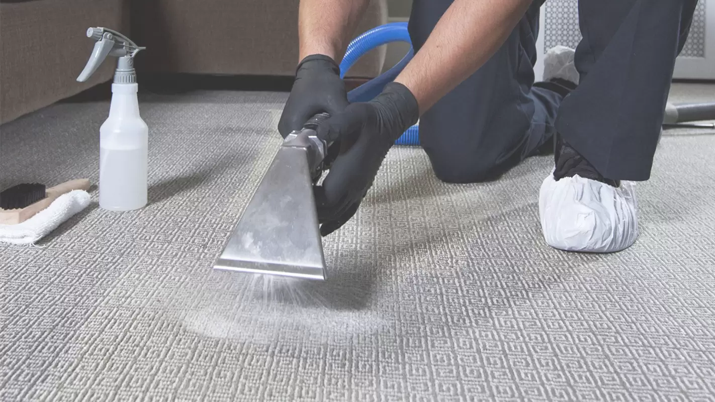 Best Carpet Cleaners to Prevent Your Carpets from Looking Dingy and Worn!