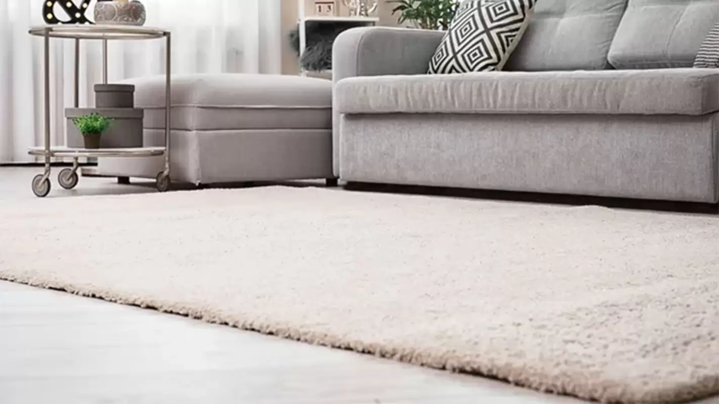 Professional Carpet Repair: Revive The Aesthetics Of Your Home!